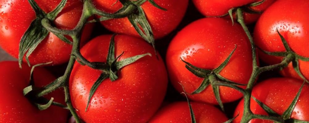 男人养生食物有哪些 多吃点西红柿
