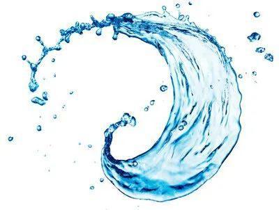 水的生理功能和排出量（水的生理功能和平衡）