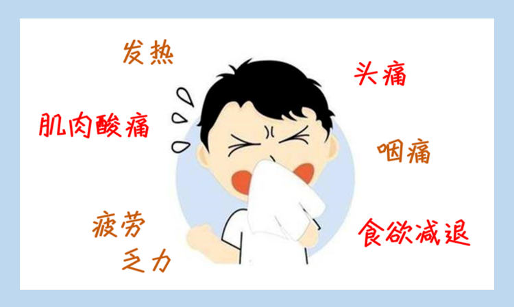 流感、肺炎、流行性感冒防护（冬季流感防护指南）