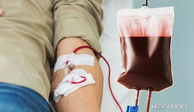 为什么要献血减肥？（为什么献血可以减肥？）