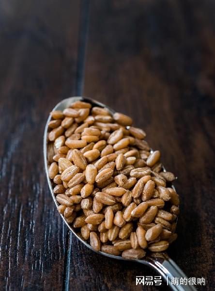 多吃黑麦，不仅是为了健康，更是对自然环境的尊重和保护（多吃黑麦不仅有益于身体健康，还能给我们的心灵带来滋养和启示）