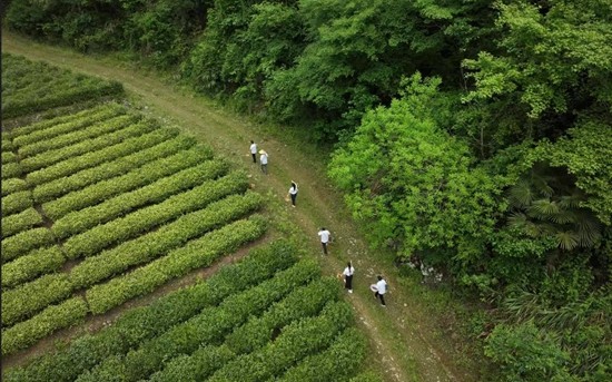 大山书院里的疗愈：打开抑郁孩子们的心门