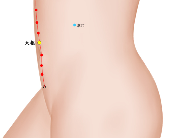 健脾的穴位在哪里 健脾的穴位怎么按 11个健脾的穴位在哪里